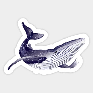 blue whale 4 Sticker